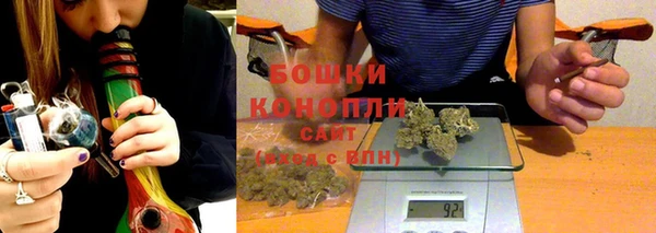 гидропоника Богородицк