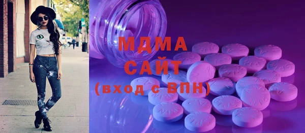 индика Богородск
