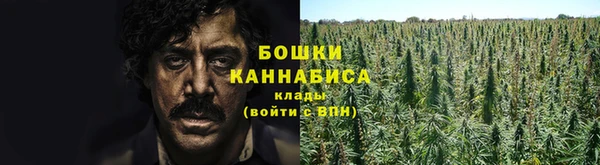 амф Богданович