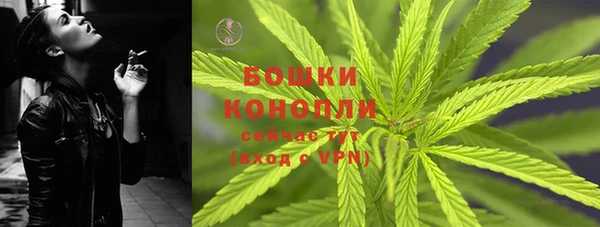 индика Богородск