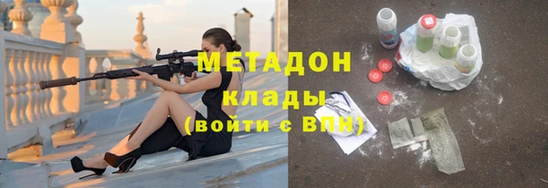 индика Богородск