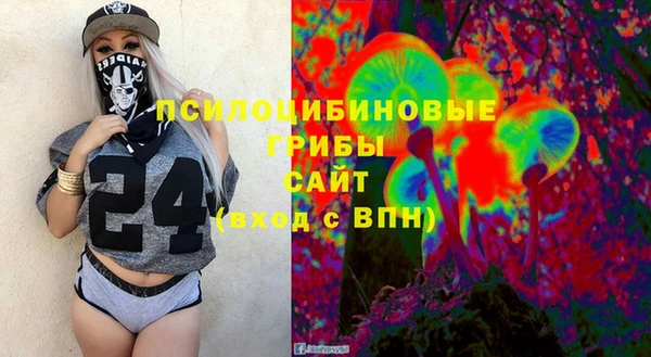 индика Богородск