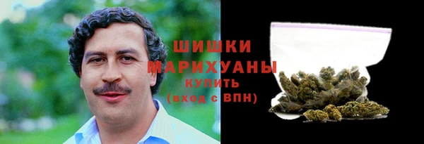 амф Богданович