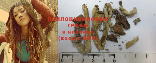 амф Богданович