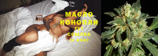 индика Богородск