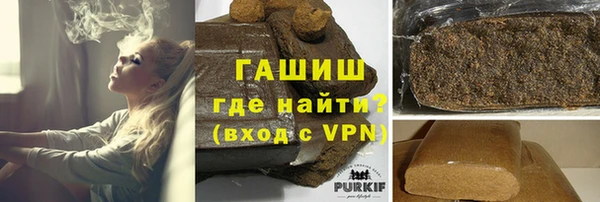 индика Богородск