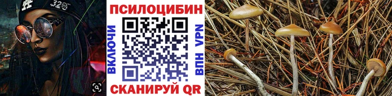 Псилоцибиновые грибы Magic Shrooms  Котельники 